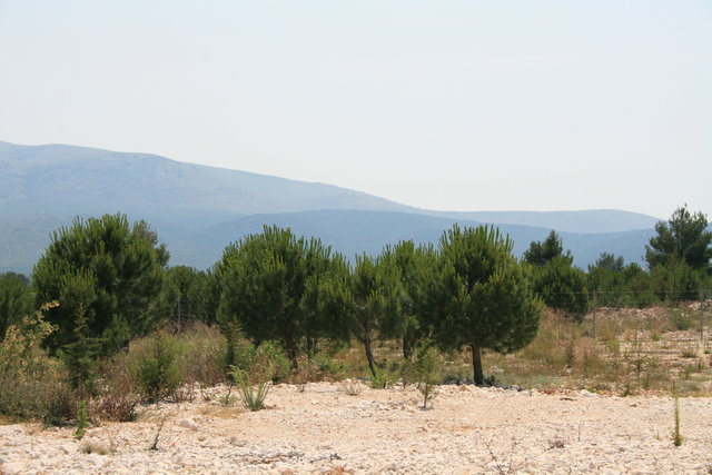 gal/cro 08/small-IMG_4497.JPG